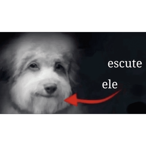 Figos do mamilo 6