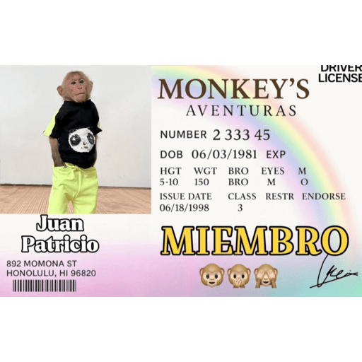 Monkey aventuras 🐒💓 8