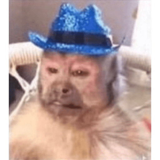 Memes #2 xd 1