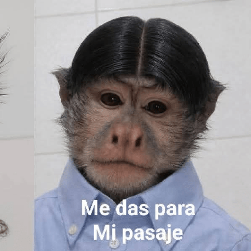 Memes 66 4