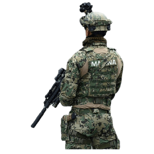 Militares 10