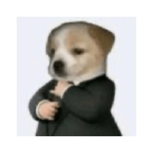 Random 11