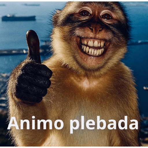 Memes 49 4