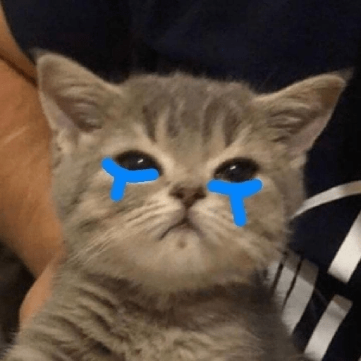Gatitos sad 14