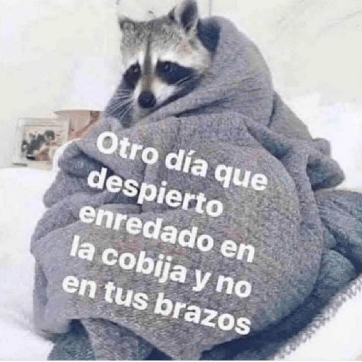 Memes 66 28