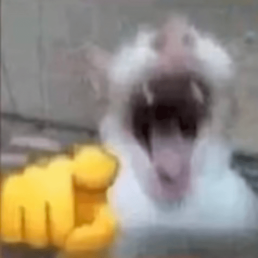 Memes #2 xd 5