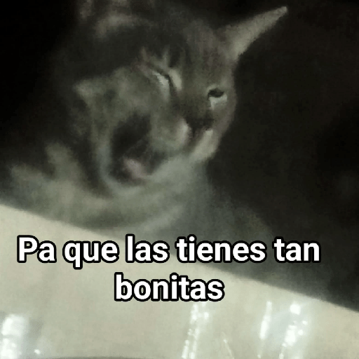 Memes 49 14