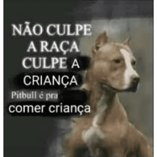 Pra fzr se transformar em 🐍 14 14