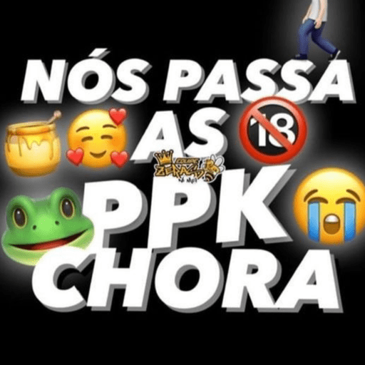 Midia whatsapp 3