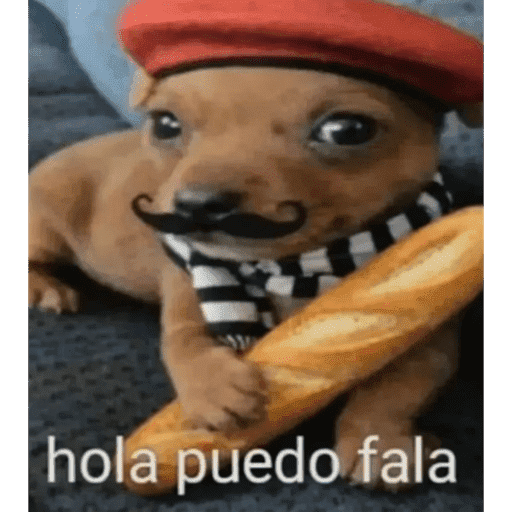 La elly 12