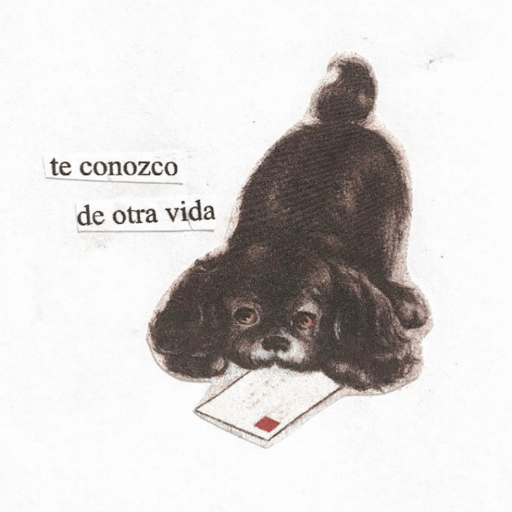 Para tu amorcitx 🧸💟 4