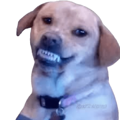 Sorriso largo