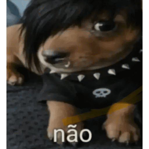 La elly 13