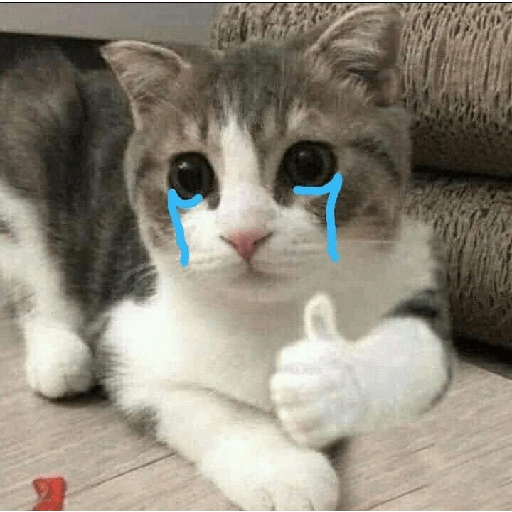 Gatitos sad 15