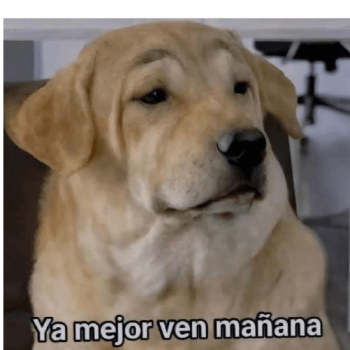Memes 66 2