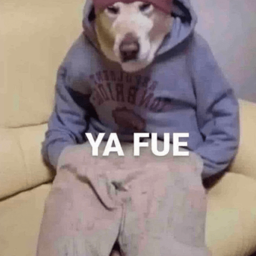🐕•🐾Perritos🐾•🐕 15