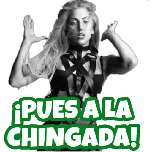 Lady gaga 1