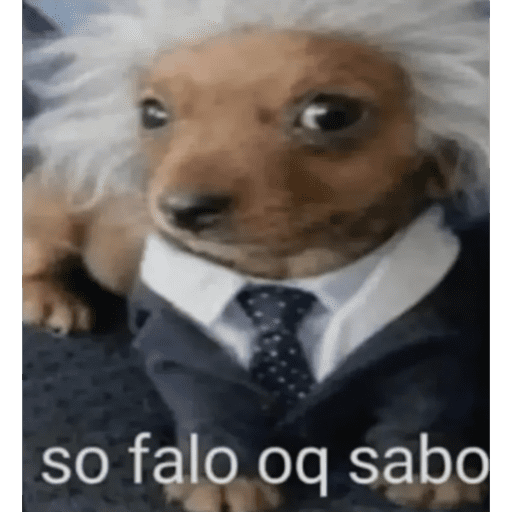 La elly 10