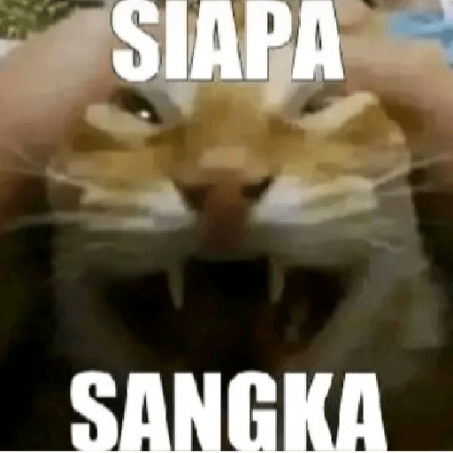 Mang eak? 29