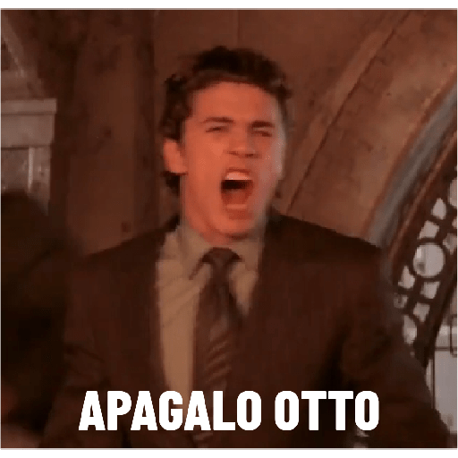 Momos 6