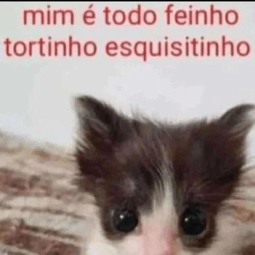 Gatinhos 4
