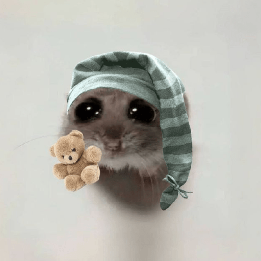 Hamster 🎀 13