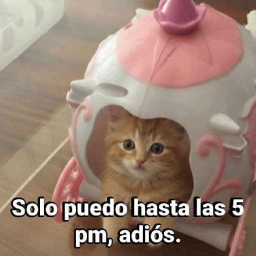 Memes 66 30