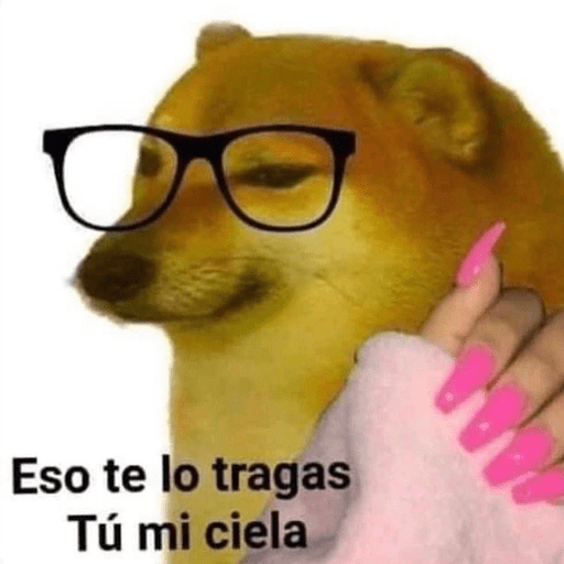 🐕•🐾Perritos🐾•🐕 3