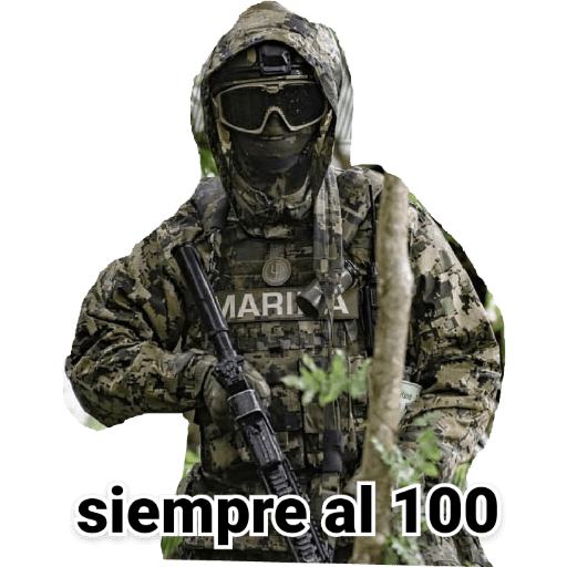 Militares 4