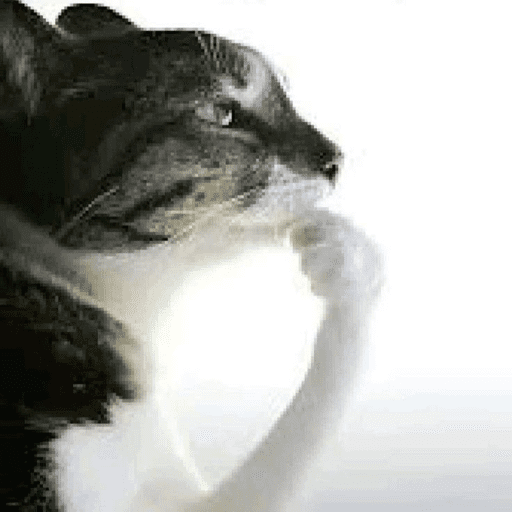 Omg 3