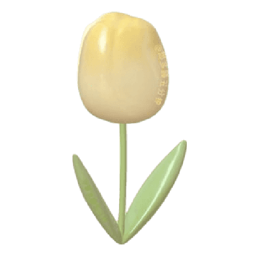 Yellow 7