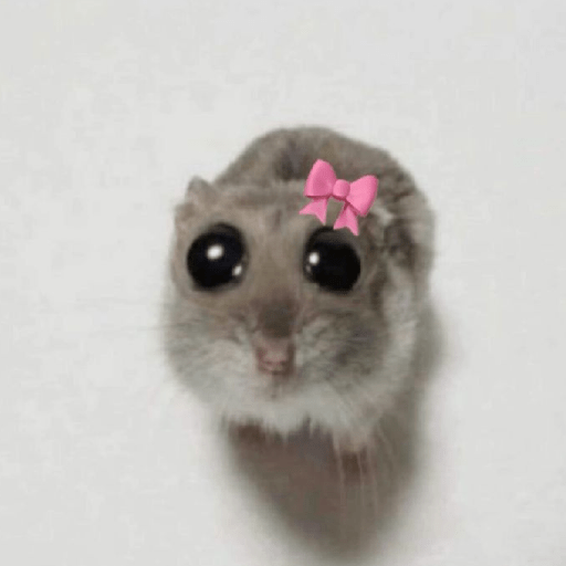 Hamster 🎀 2