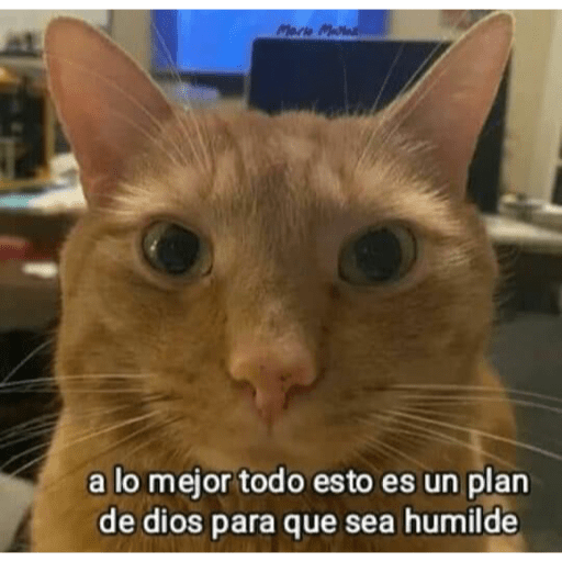 Animalillos Chidos🙈 4
