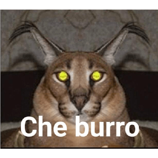 XDD 12
