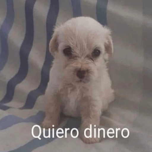 🐕•🐾Perritos🐾•🐕 14