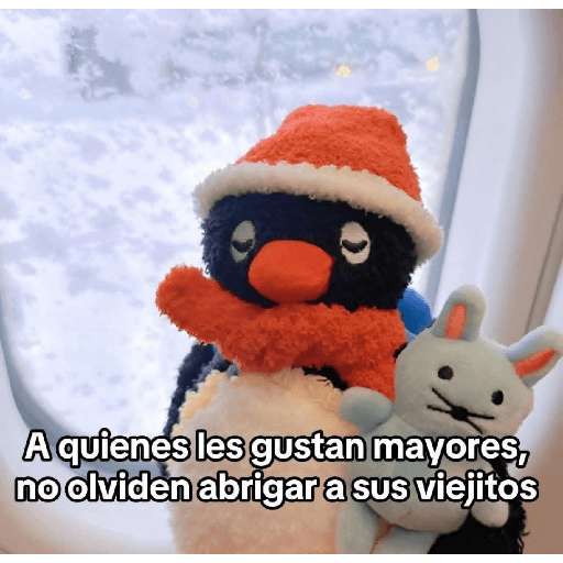 Memes 66 26