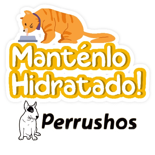 Perruchos frases 4