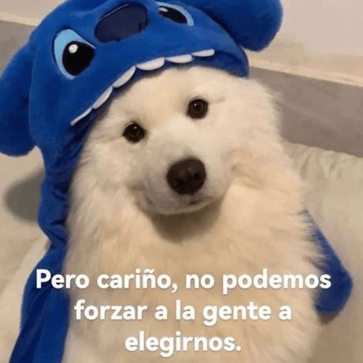 🐕•🐾Perritos🐾•🐕 7
