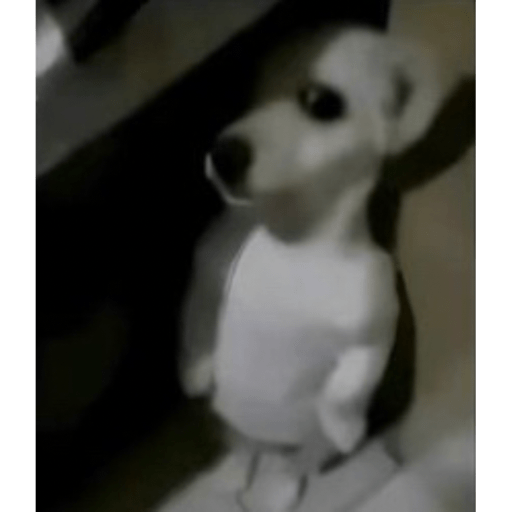 Memes #2 xd 6