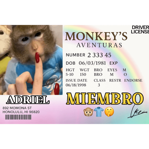 Monkey aventuras 🐒💓 4