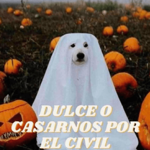 Memes 49 20