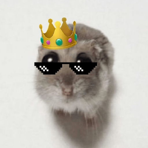 Hamster 🎀 8