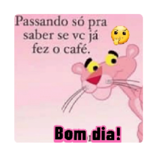 Figurinha 13