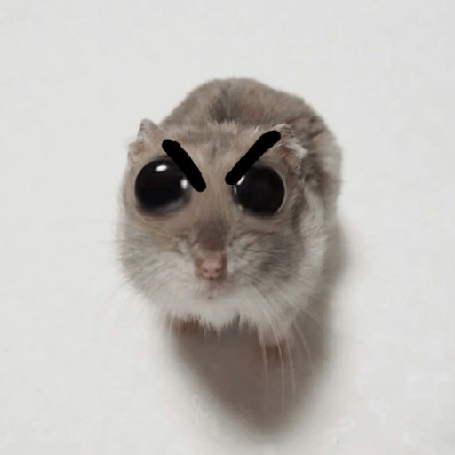Hamster 🎀 9