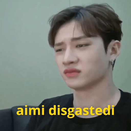 StrayKidsMaterial SKZ  1