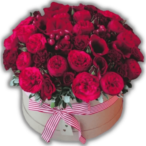 Phool 18