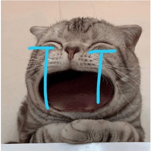 Gatitos sad 11