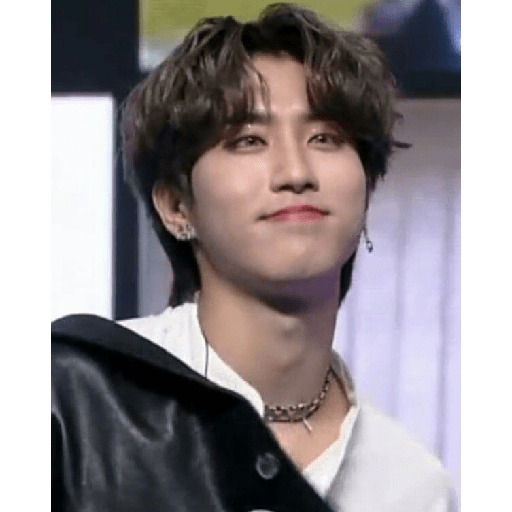 Han Jisung Best Boy <3 5 2