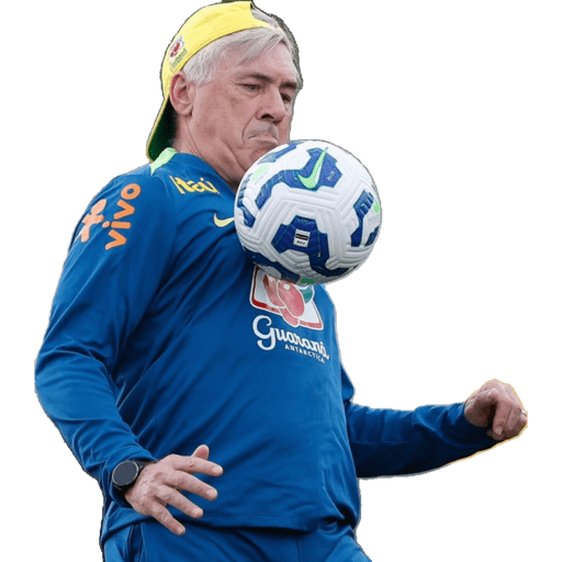 Raça stickers 2025 5