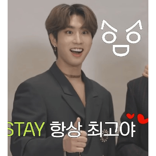 Han Jisung Best Boy <3 5 7